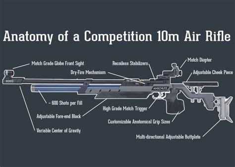 Anatomie Of An Air Rifle Shoot 10s