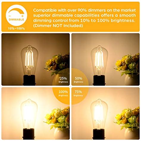 Lakumu Dimmable Vintage LED Edison Bulbs Equivalent 60W Incandescent