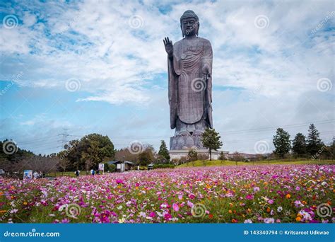 Ushiku Daibutsu World Tallest Bronze Statue Of Buddha Royalty Free