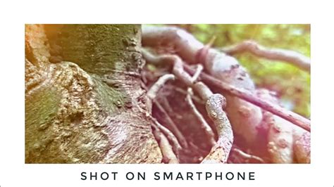 How To Shoot Cinematic Video With Your Smartphone Smartphone