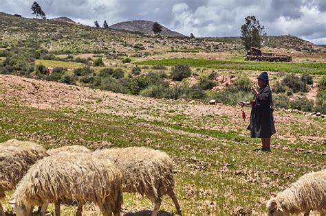 Fondo de la ONU premia a los pueblos indígenas de Bolivia por su