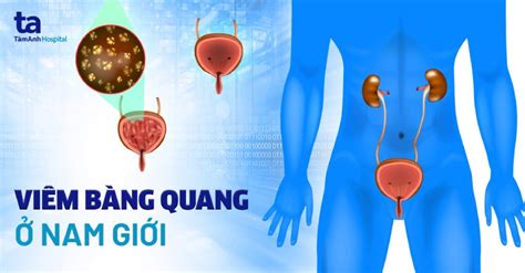 Tìm hiểu về bệnh ngoài da thường gặp ở nam giới và cách phòng tránh