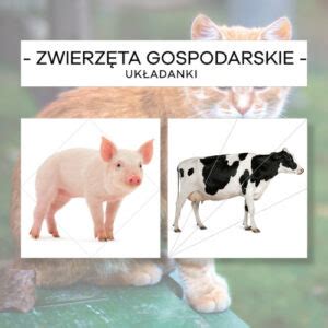 Zwierz Ta Gospodarskie Puzzle Szt Materia Y Montessori Karty