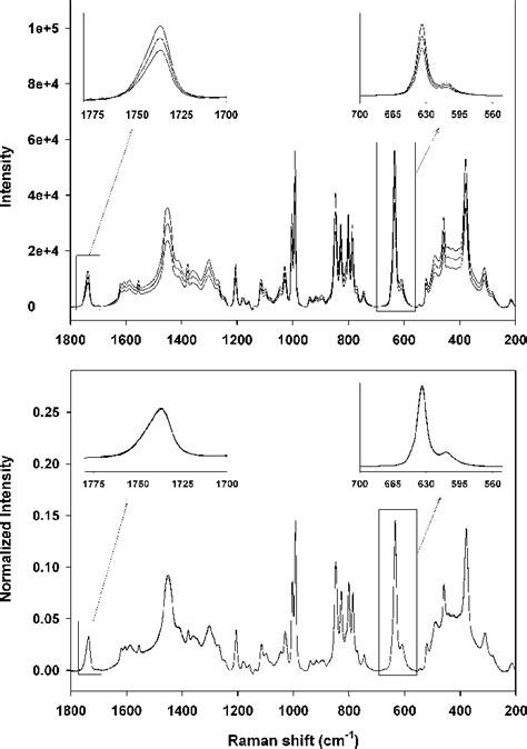 Top Raman Spectra Baseline Corrected Of One Simulated Naphtha Download Scientific Diagram