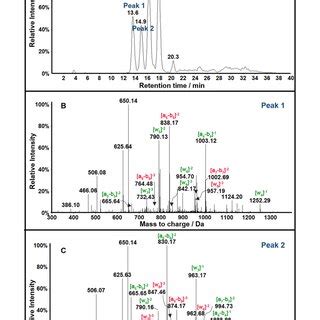 Lcqtof Mass Spectrometry Of Fragment Scheme From Exon Oxidized