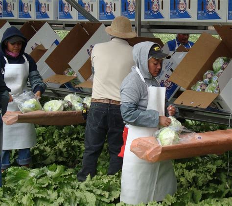 Buenas Prácticas Agrícolas Lo Que Aún No Sabes Sobre Ellas