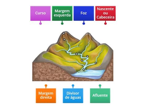 Partes De Um Rio Labelled Diagram