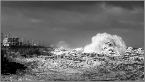 Gary Gough Amateur Or Professional Bishopthorpe Camera Club