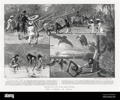 India Grain Famine Hi Res Stock Photography And Images Alamy