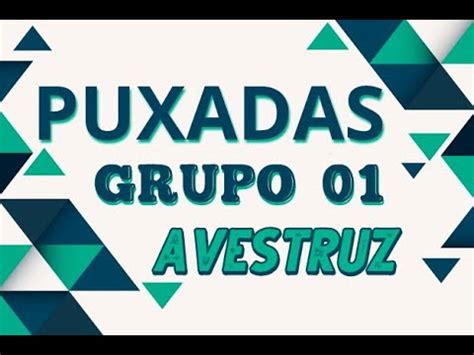 Puxadas Grupo 01 Avestruz YouTube