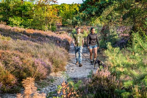 België Nationaal Park Hoge Kempen Travellers Wandelvakanties