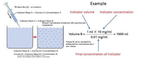 Volume And Composition Of Body Fluids Flashcards Quizlet