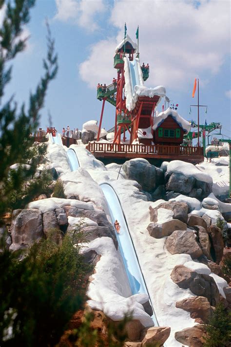 Five Of The Coolest Water Slides At Walt Disney World Resort Disney