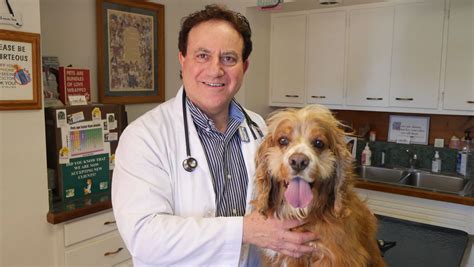 Meet Our Veterinarian in Reynoldsburg, OH | Hillview Veterinary Clinic