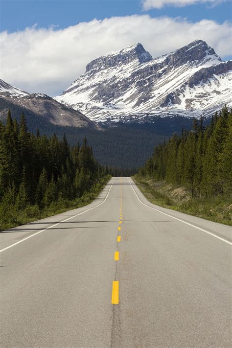 Hd Wallpaper Straight Road Between Trees Mountain Nature Canada