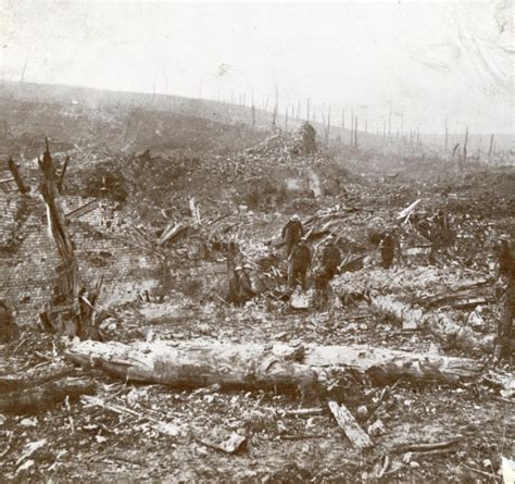 Veterans Affairs To Plant Thousands Of Trees At Beaumont Hamel Memorial