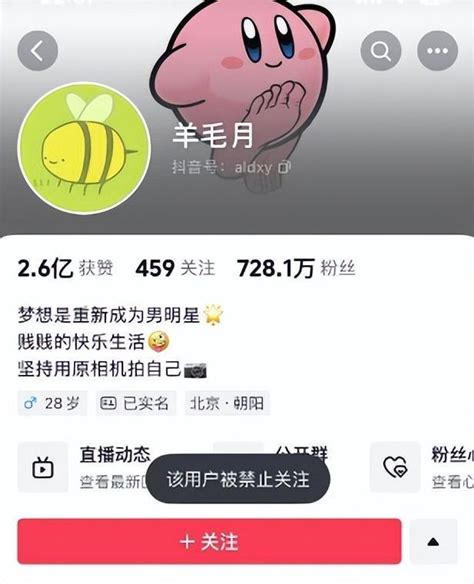 嘲笑00后找不到工作 百万粉丝网红“羊毛月”账号被禁止关注凤凰网