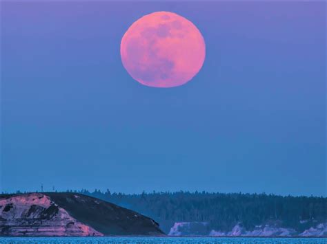 Estos Son Los Rituales Para Aprovechar La Energ A De La Luna Rosa