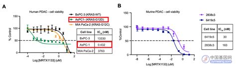 Cancer Discovery：靶向最强癌基因kras的g12d突变的小分子药物诞生！ 中国基因网（）