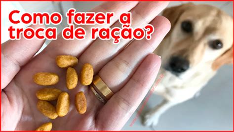 Como Fazer A Troca De Ra O De Forma Segura Blog Criando Labrador