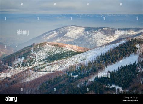 Polnische Natur Stockfotos Und Bilder Kaufen Alamy