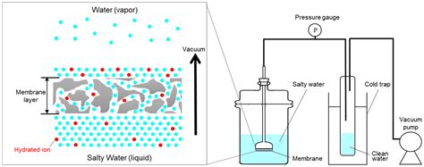 Membranes Free Full Text ZnO Microfiltration Membranes For