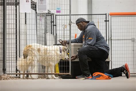 Aspca Cares For Nearly 500 Victimized Animals In First Year Of Opening