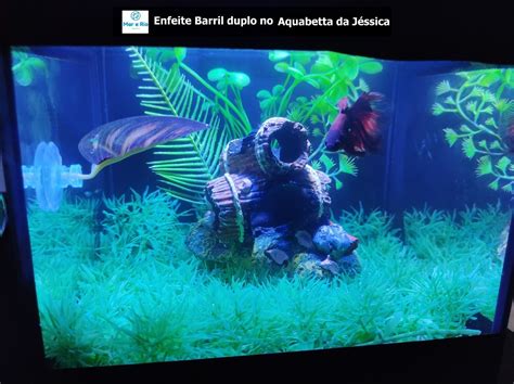 Enfeite Aqu Rio Barril Duplo Toca Do Betta Decora O Plantas Mercadolivre