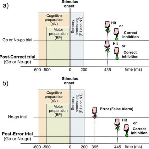 Scalp Topographies Of The Grand Average Activities For Post Correct And