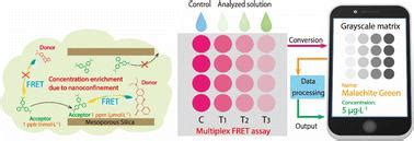 Nanoconfinement Amplified F Rster Resonance Energy Transfer In Nile