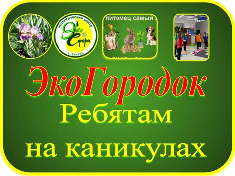 МБУ ДО ЭЦ ЭкоСфера г. Липецка — официальный сайт учреждения ...