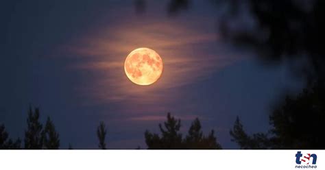 Luna de fresa De qué se trata y a qué hora se podrá ver TSN Necochea