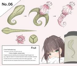 Female Insect E Hentai Galleries