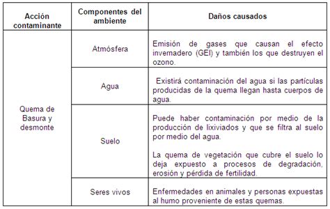 Cuadro Comparativo De Problemas Ambientales Locales La Contaminacion Images Porn Sex Picture