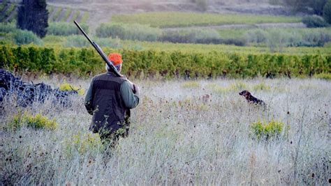 Bilan Annuel De La Chasse Six Chasseurs Tués Et 78 Accidents Relevés