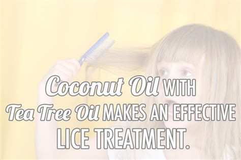 Coconut Oil Lice Treatment Natural Home Remedy Coconut Oil Tips