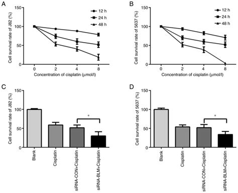 Downregulation Of Blm Recq Helicase Inhibits Proliferation Promotes The Apoptosis And Enhances