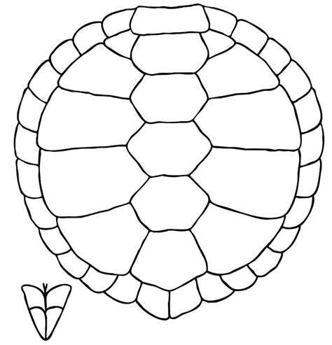 Turtle Shell Pattern Drawing - ClipArt Best