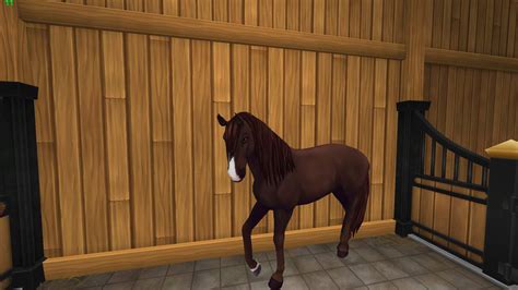 Wiki Star Stable Online De Amino