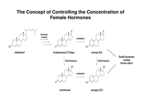 Ppt Topology Of Organometallic Radicals Powerpoint Presentation Free