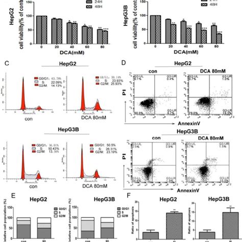 Dca Inhibits Cell Proliferation Arrests The Cell Cycle And Induces Download Scientific