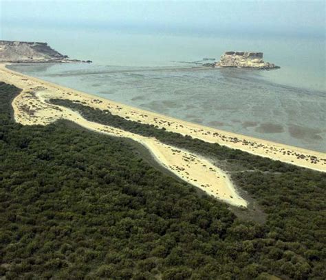 Qeshm Island | Geopark, Canyons & Stars Valley! | +Photo & Full Guide