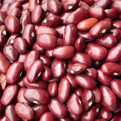 Red Rajma Bean High In Protein Loose At Best Price In Ahmedabad ID