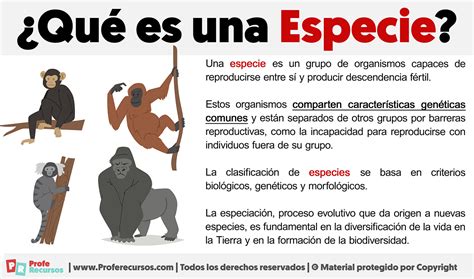 Qu Es Una Especie Definici N De Especie