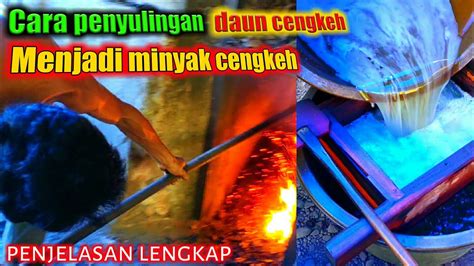 Penyulingan Minyak Cengkeh Kupas Tuntas Proses Daun Cengkeh Menjadi