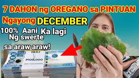 7 DAHON Ng OREGANO Sa PINTUAN Ngayong DECEMBER 100 Aani Ka Ng Swerte