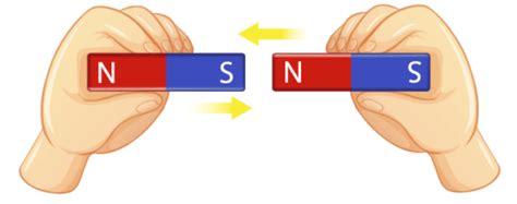 Magnetism And Matter CBSE Class 12 Chapter 5 Notes Getmyuni