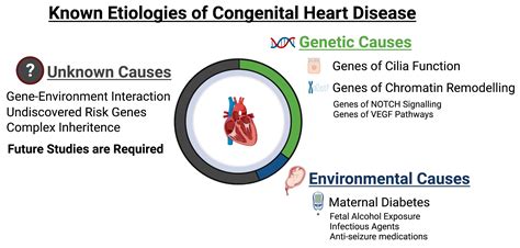 Genes Free Full Text Molecular Genetics And Complex Inheritance Of