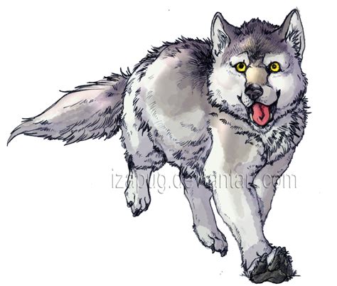 Grey Wolf By Izapug On Deviantart