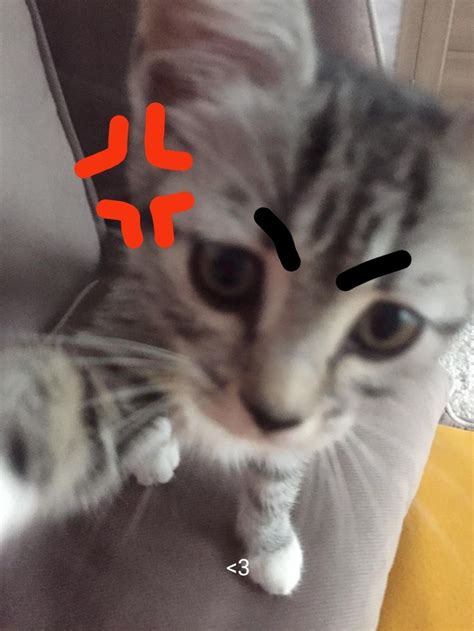 Ашотик🫀🫀💗